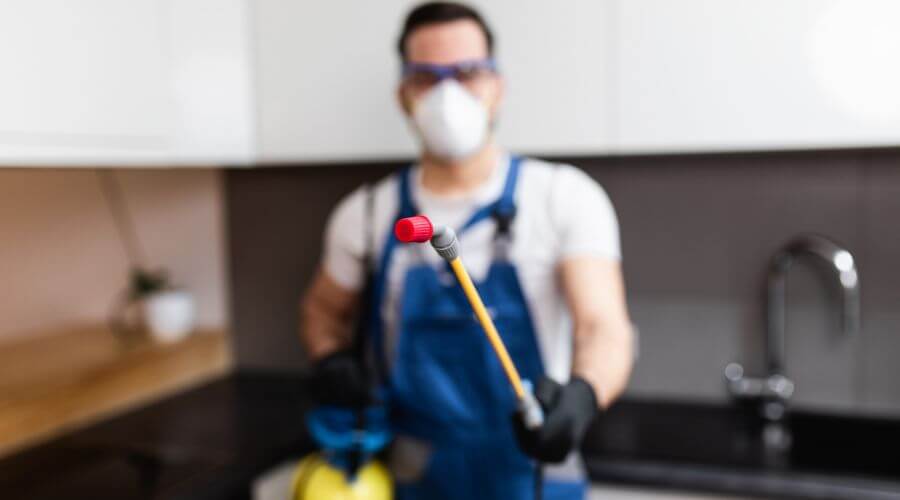 Why choose Bandon Quarterly Pest Control for quarterly pest control in Bandon